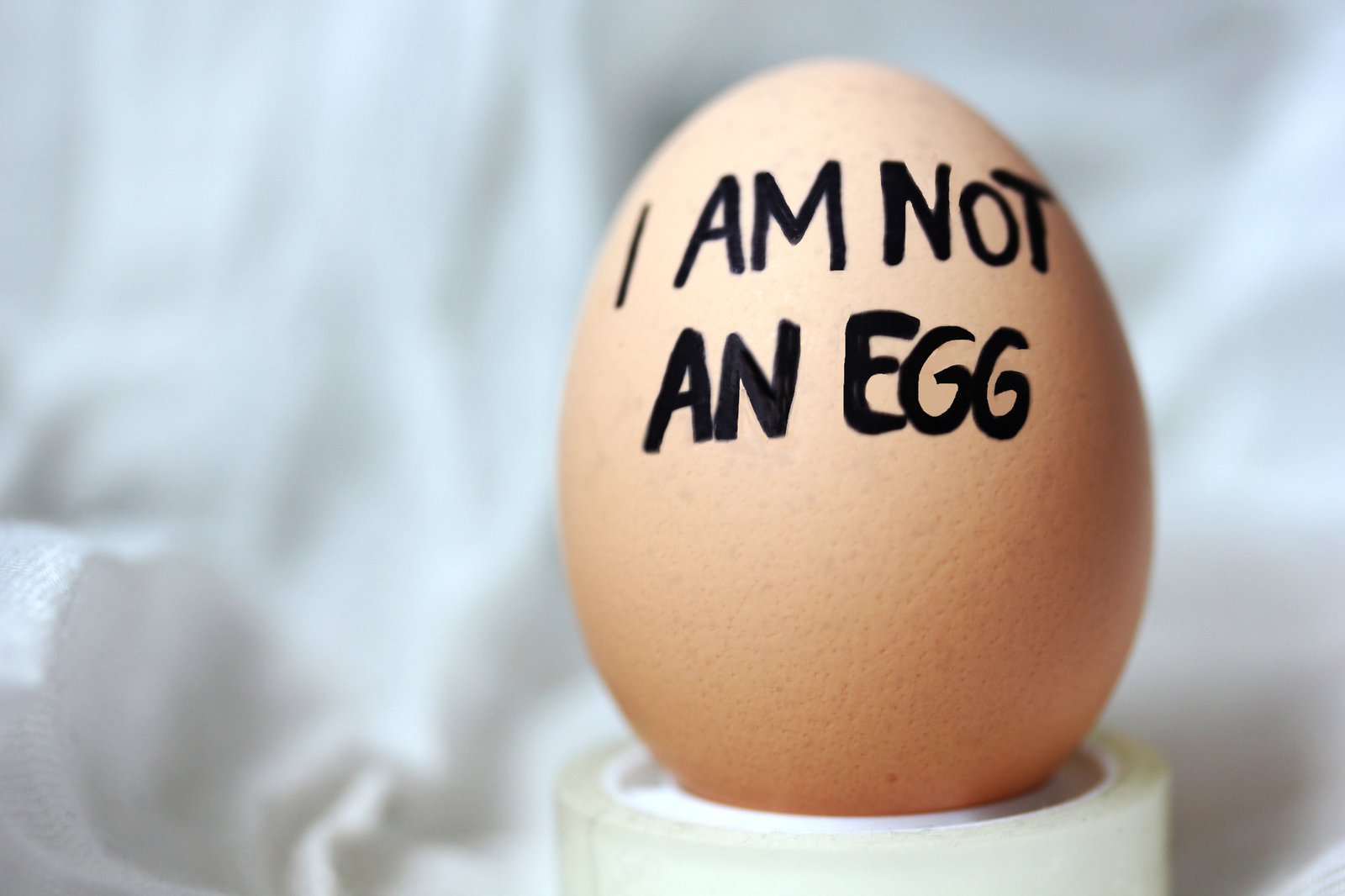 I Am Not An Egg